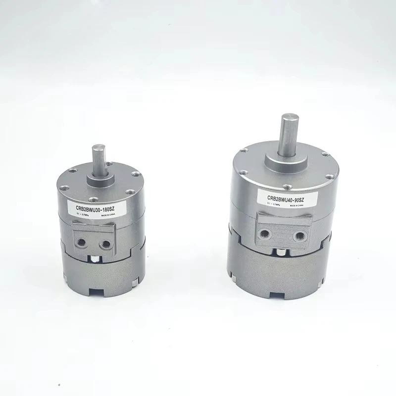 Vane Type Pneumatic Rotary Actuator Single&Double Shaft Options and Rotate Angle Adjustable Can Built With Auto Switch