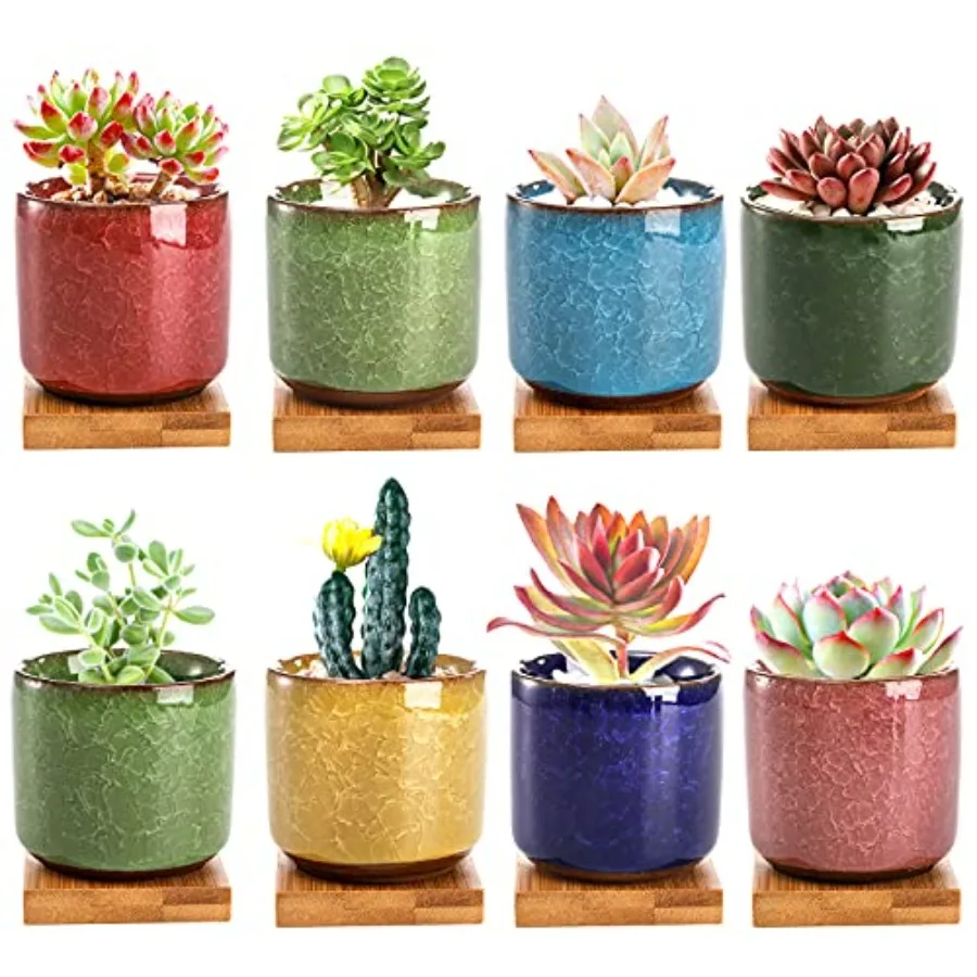 

8 Pack 2.5 Inch Mini Succulent Plant Pot with Drainage and Bamboo Tray Small Ceramic Cactus Plant Pot Flower Pots Faux Plants C