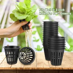 60 PcsGrow Orchids Wide Lip Hydroponics Cups Planting Mesh Pot Soilless Net Basket Slotted Container Colonization Black 2 Inch