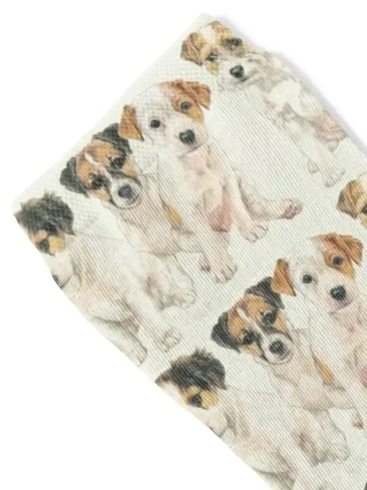 Jack Russell Puppies Socks Non-slip winter gifts Boy Child Socks Women's