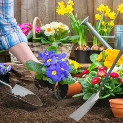 Palas para trasplantar y excavar suelos: herramientas de deshierbe