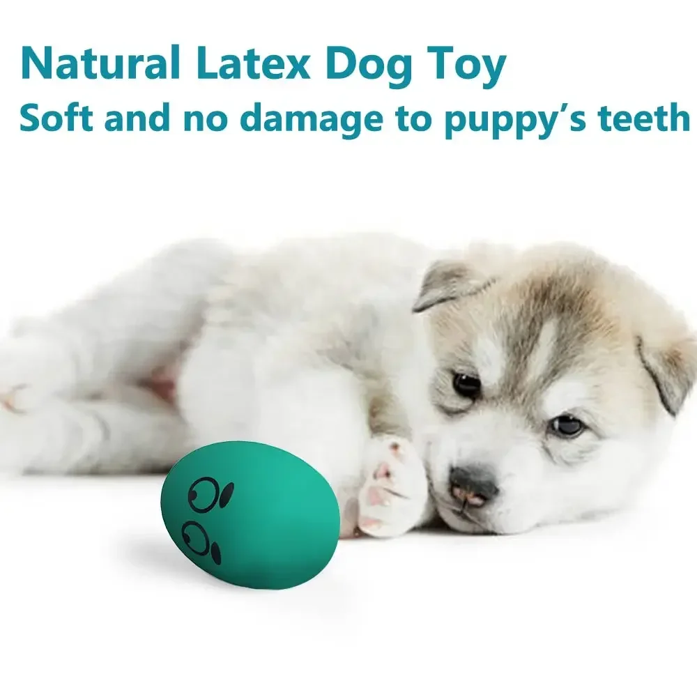 SChitec Dog Toys bouncy egg Funny Ball Squeaky Latex Bouncy Egg with Squeaker for Puppy Small Pet Dogs Soft Rubber Sound