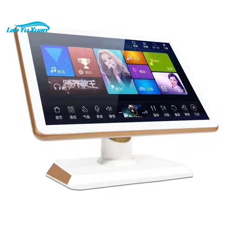 Professionele Karaoke Machine Met Liedjes