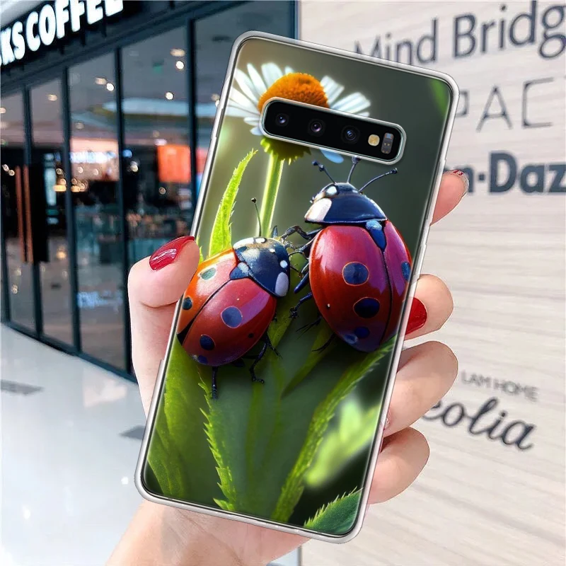 Insect Seven-Star ladybug Soft Phone Case for Samsung Galaxy S24 S23 S22 S21 Ultra S20 FE S10 Plus S10E S9 S8 + Fundas Cover Cap