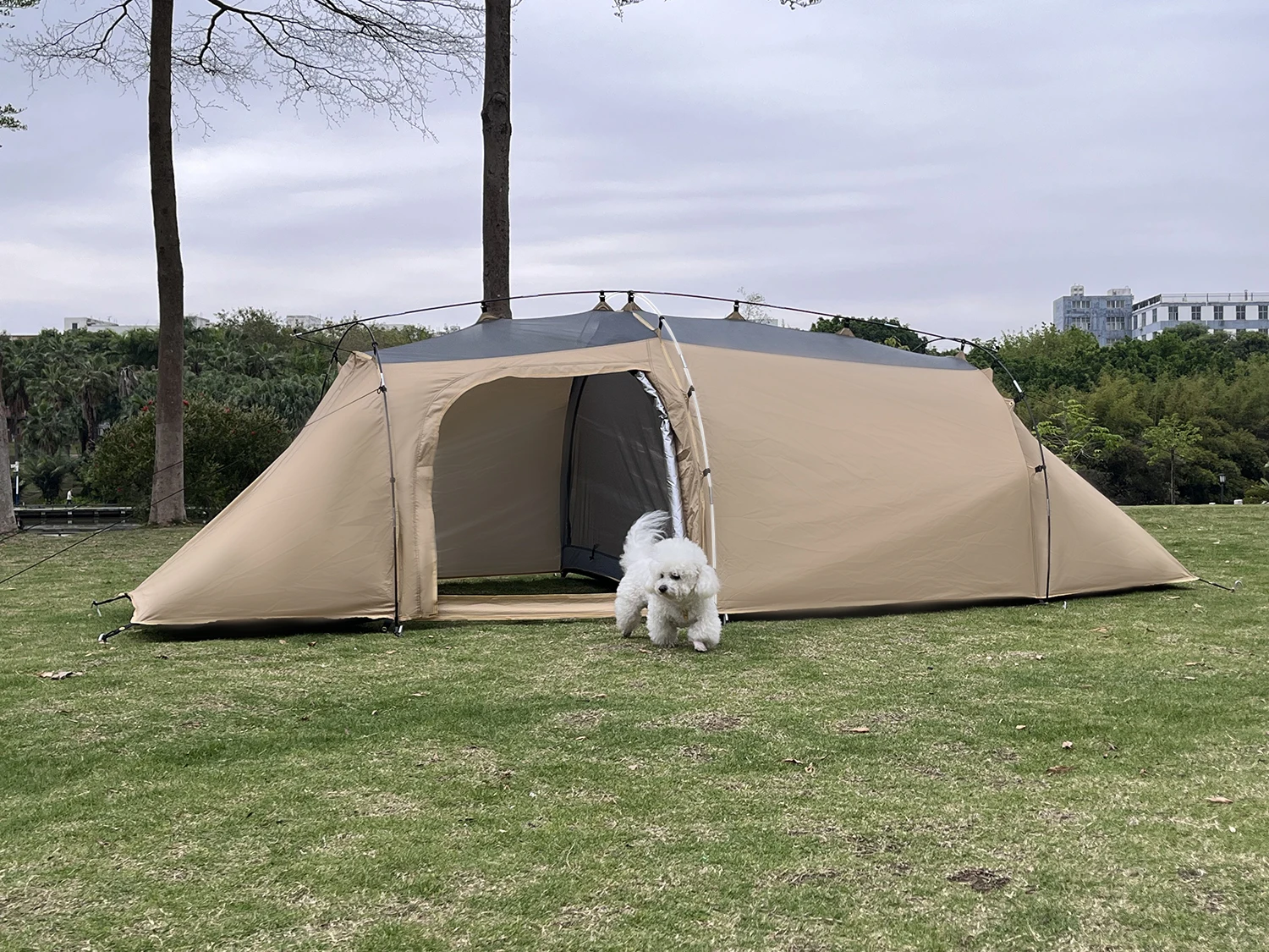 2-Personen-Zelt mit Hundebereich, abnehmbarem Dach, wasserdicht, sonnengeschützt, 3-Raum-Haustier-Unterstand, Outdoor-Reise- und Wanderzelt für den Park – Detail 40