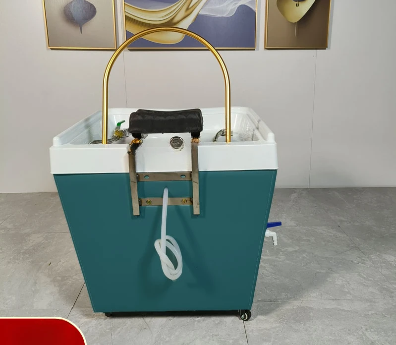 Movable Shampoo Basin Head Therapy Machine Supporting Massage Couch Facial Bed Fumigation Water Circulation Shampoo Machine