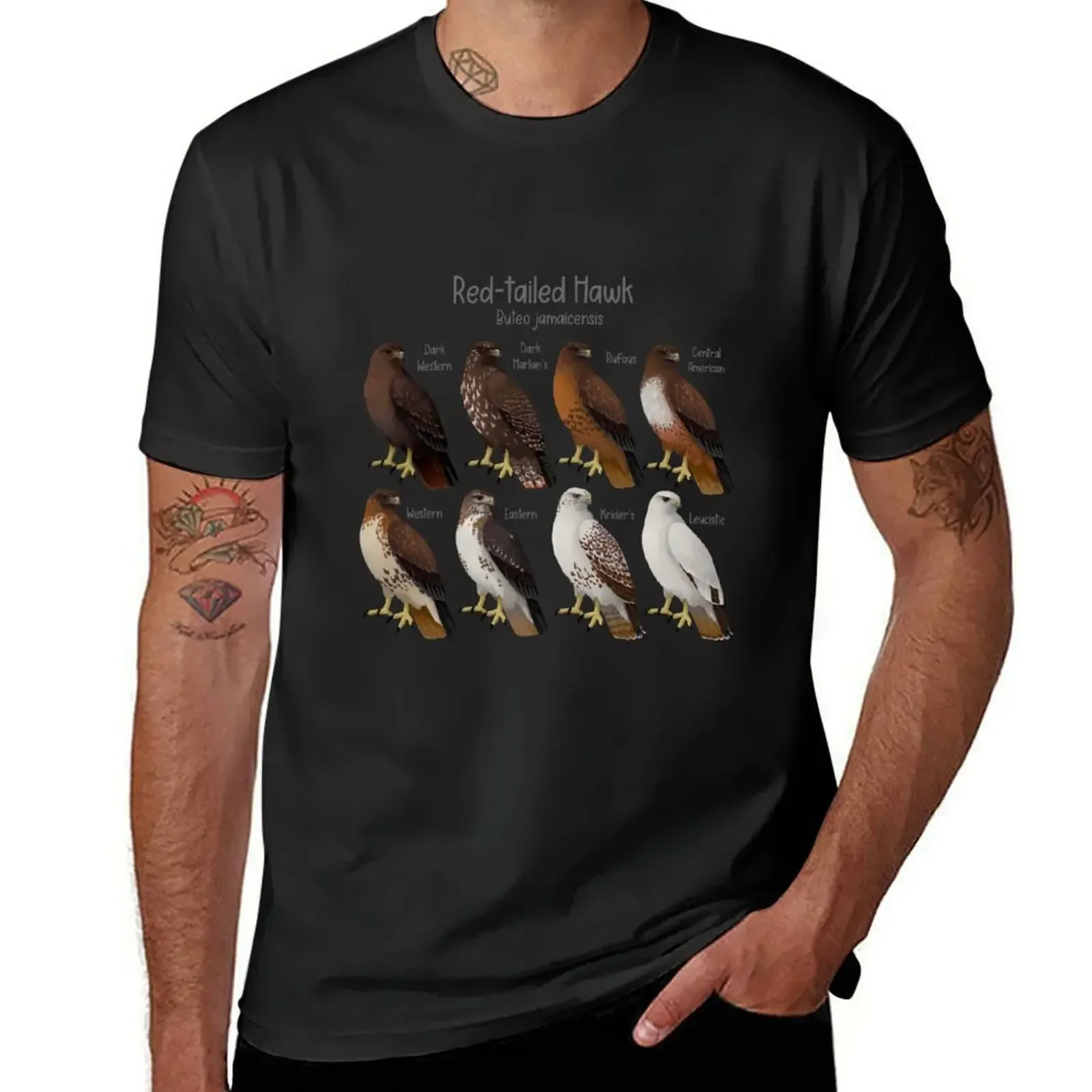 Red-tailed Hawk Morphs and Subspecies T-Shirt summer top vintage graphic tee plain Men's clothing