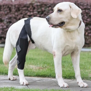 Pet Knee Pads For Joint Injury Recovery Legs Protector Dog Thigh Brace Wrap Adjustable Support Belt Post-operative Fixation