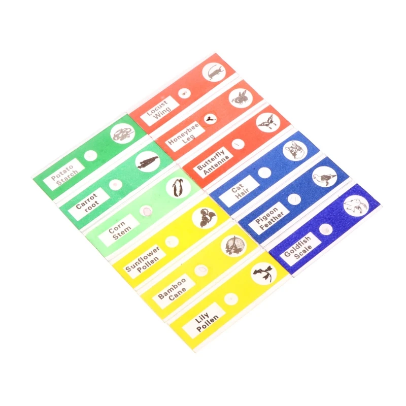 12pcs For Stereo Microscopes Kids Plastic Prepared Microscope Slides Of Animals Plants Flowers Sample Specimens