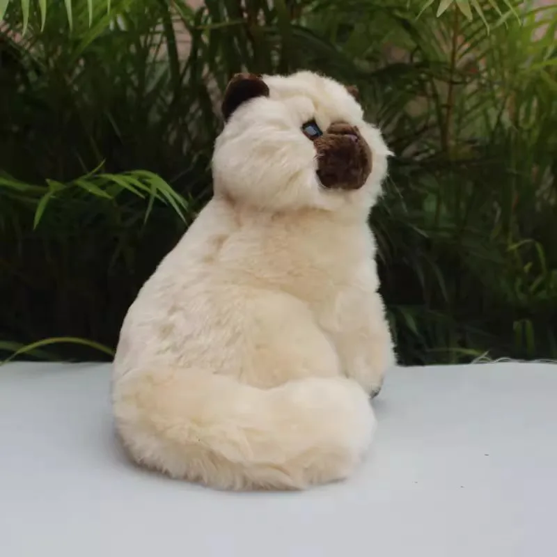 Simulated Persian Cat Doll Realistic Animal Cat Doll Mini Cute Kitten Cloth Doll Plush Toy Male Girlfriend Gift 25CM DY10257