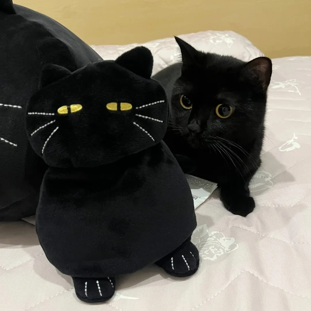

Милая плюшевая игрушка «Черный кот», кукла, маленькая подвеска, приятная подушка, подушка Ins, плюшевая игрушка «Черный кот», кукла для мальчика, девочки, подарки на день рождения