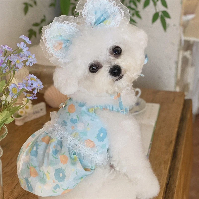 

Blue Lace Dog Clothes Sweet Floral Printed Blue Dress Pearl Button Luxury Dog Dress with Headwear for Small Dog Puppy Clothes
