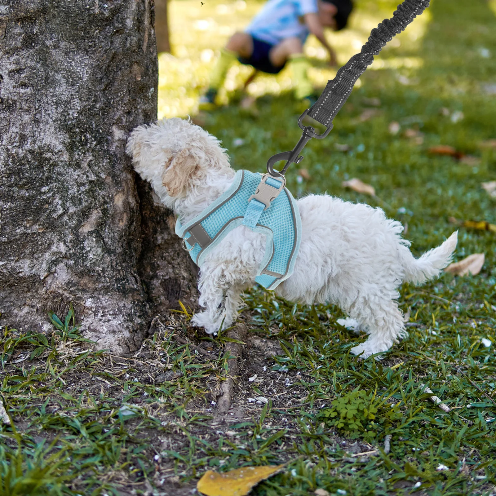 

One Tow Two Traction Ropes Dog Running Bungee Waist Leash Black Walking Belt Pet Leash Multifunction H Reusable Daily Use