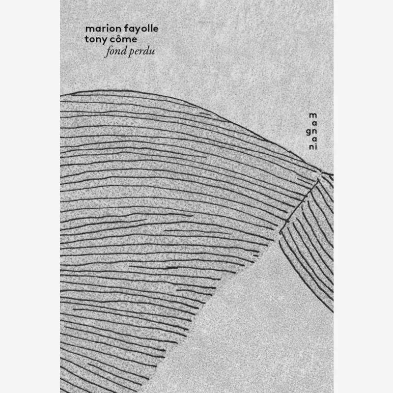 

Foud Perdu Marion Fayolle Magnani 9791092058642 Book