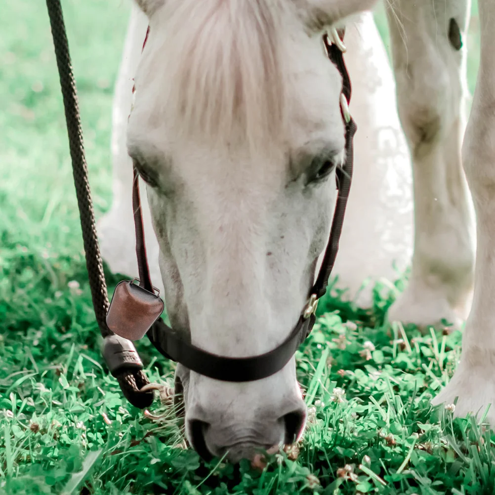 سميكة الحديد جرس البقرة الأغنام تصميم دائم بصوت عال واضح جرس الصوت للكلاب الماشية المشي لمسافات طويلة في الهواء الطلق استخدام أجراس لأطواق الكلاب #2