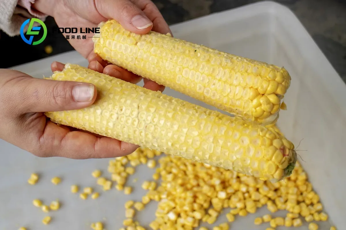 Fresh Corn Thresher Machine Sweet Sheller Maize Shelling Kernel Separating Tool for Kitchen Farm Use Fast and Easy Cleaning