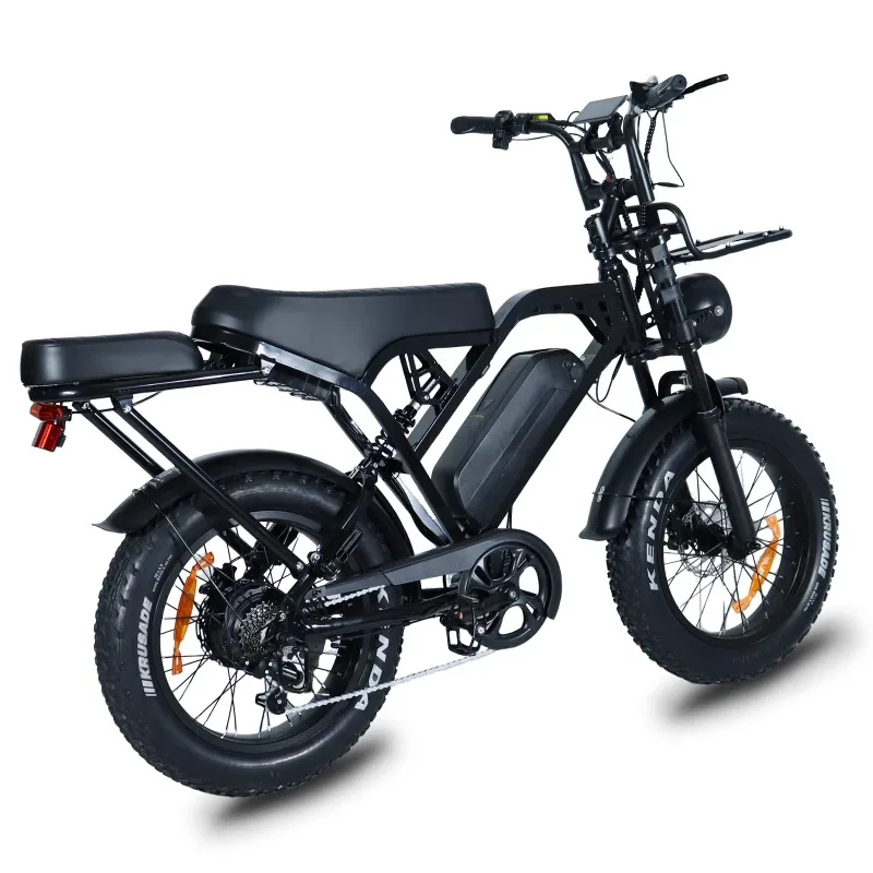 

250W Electric off Road E-Bike Two Seat X80 Bike Electric Mountain Bike Citybike