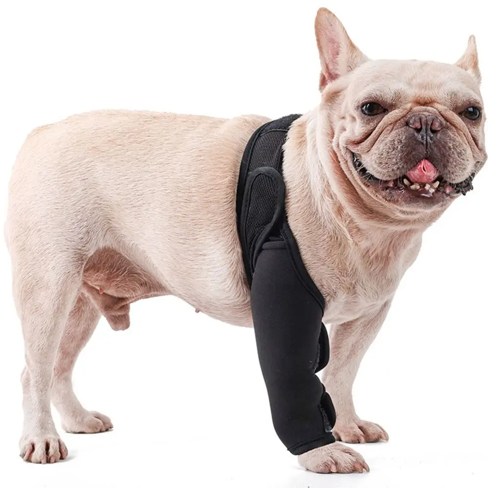 Pet Knee Pads Dog Support Brace Breathable Injury Recover Legs Wrap Reduces Pain and Inflammation 3 Size