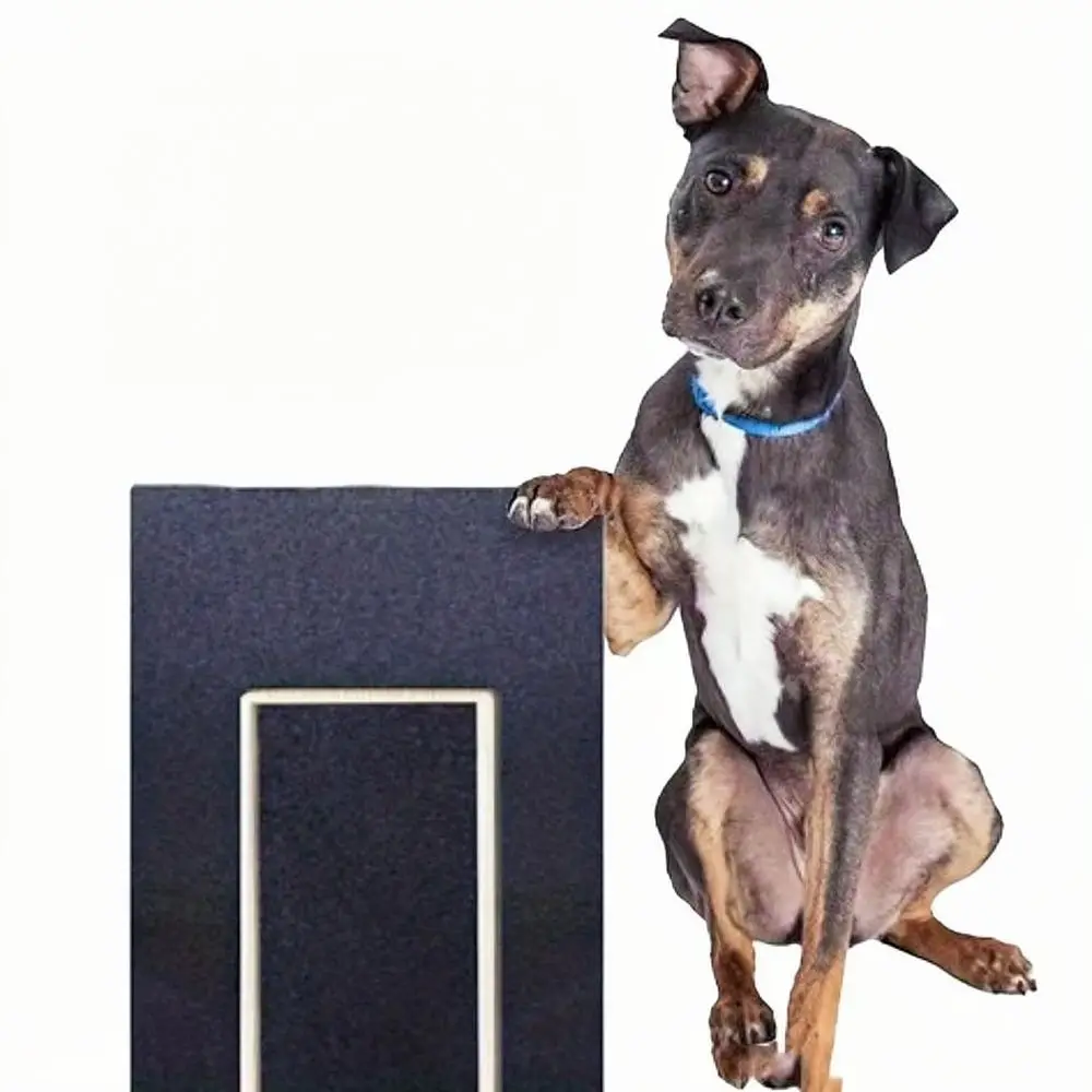 Pet Nail Care Scratch Board Wooden Drawer Dog File Tool With Snack Storage Container For Interactive Claw Grooming Aid