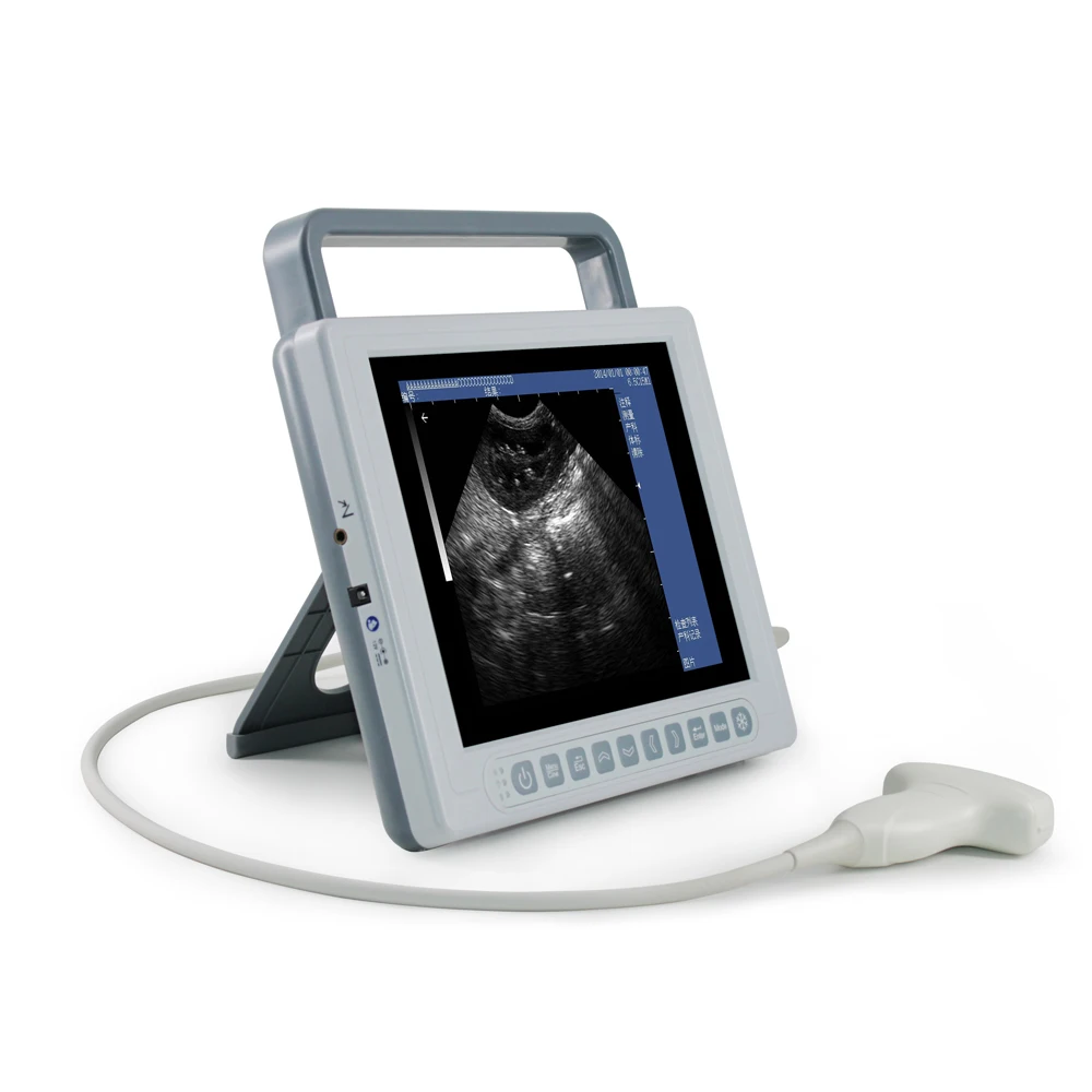 Vet Veterinary Ultrasound Machine Black White Animals  Ultrasound Equipment Touch Screen