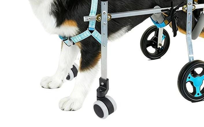 Dog Wheelchair Four-Wheel Mobility Aid for Back Legs Senior Dogs Cats with Hind Paralysis Assistive Walking Cart