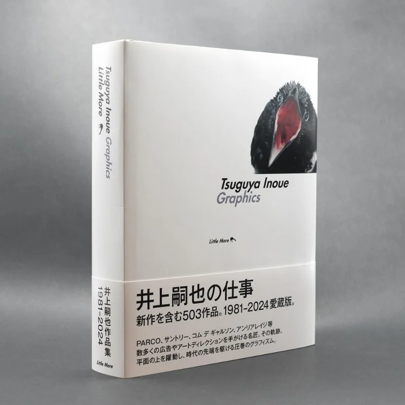 

Collection Of Works By Tsuguya Inoue Graphics Tetsuya Inoue Little More 9784898156049 Book