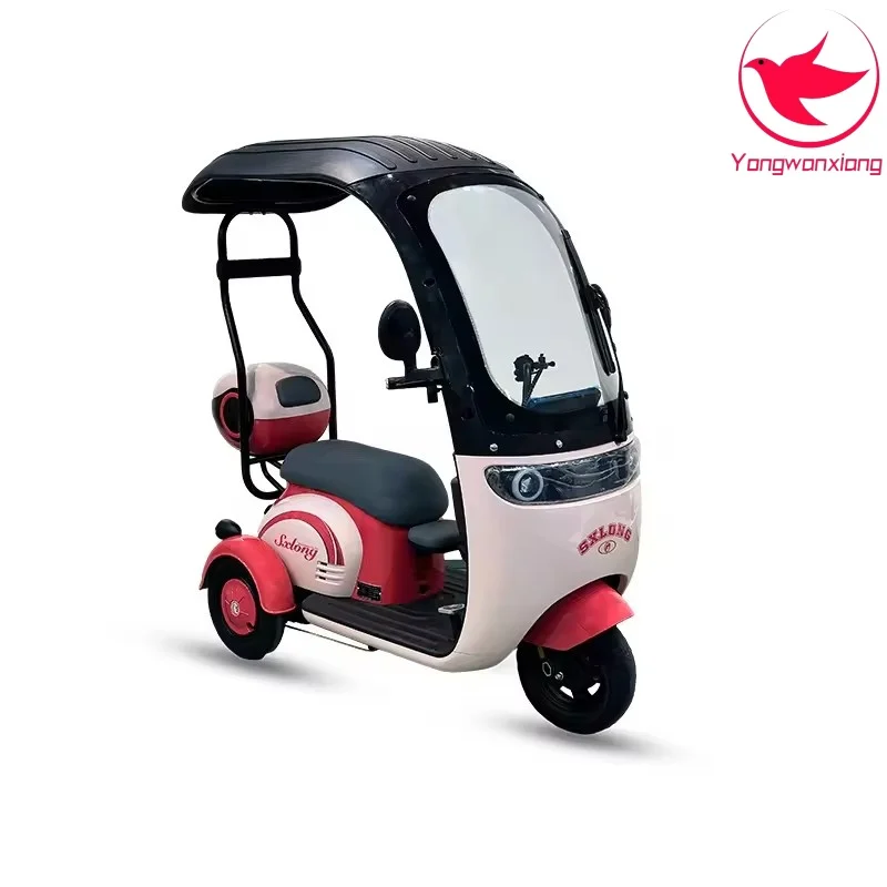 China Manufacturer Adult Elderly Passenger Mobility  Fat Tire Three Wheels Electric Tricycle with Roof