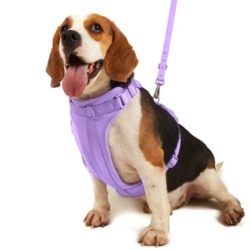ZHAYA Harnais pour chien couleur bonbon tendance, respirant et réfléchissant, pour Chihuahua, réglable, en PVC, accessoires pour animaux de compagnie, pour l'extérieur