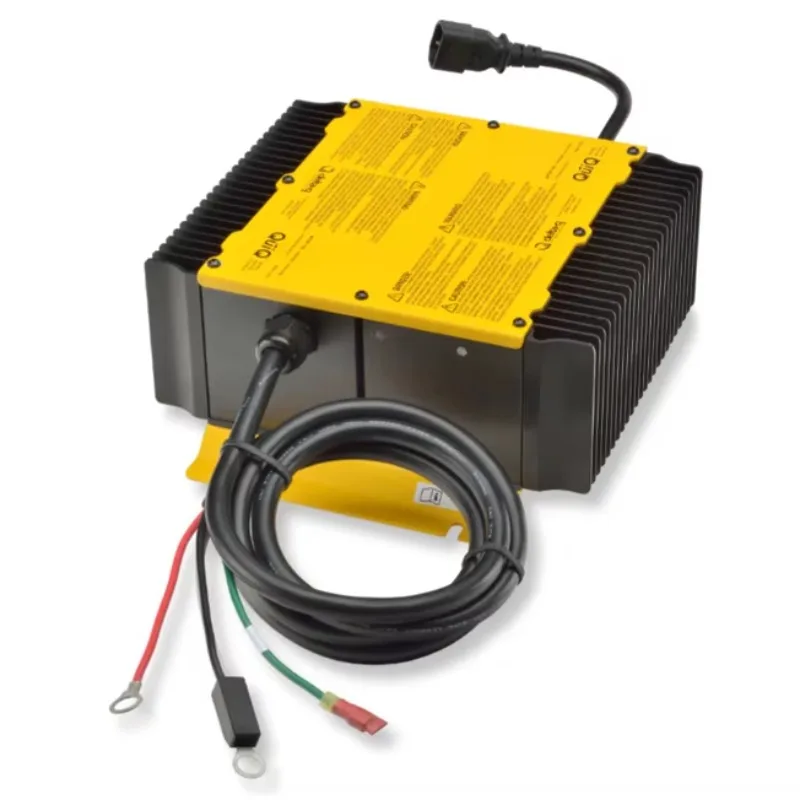

【2026】Delta Q Battery Charger 36v 48v 72v for Electric Carts From Canada