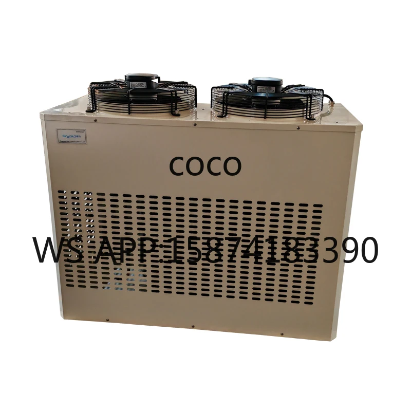 Cold Storage Room Monoblock Refrigeration Condensing Unit Wall Mounted Small Refrigerator Unit
