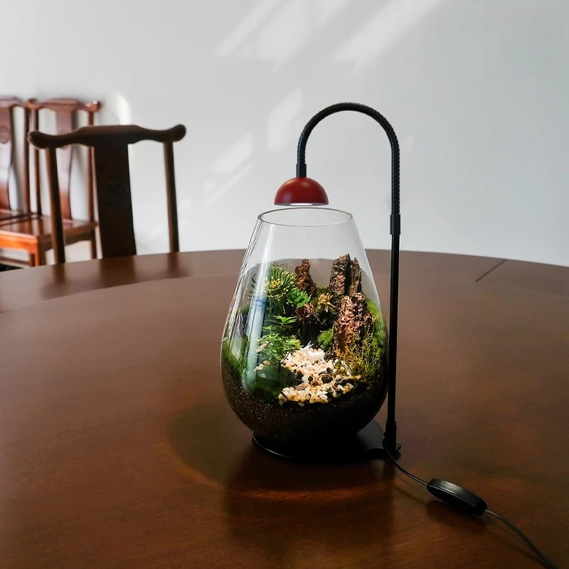 Plant Light Moss Terrarium Light, USB Rechargeable Full Spectrum Plant Lamp with Auto Timer To Boost Growth, Long Lasting