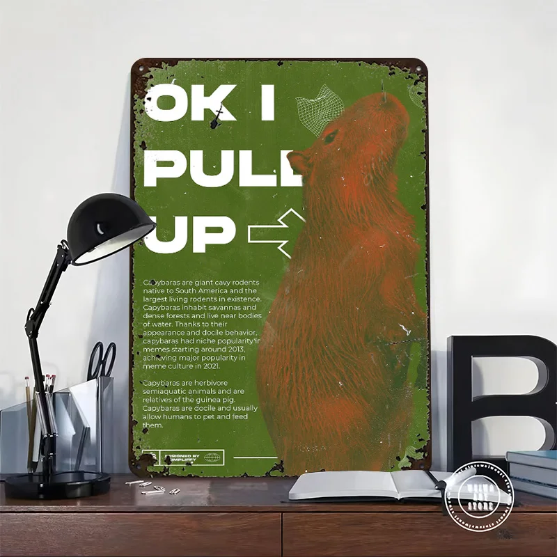 Ok I Pull Up Personalized 3D Textured Metal Poster Wall Art Tinplate Sign for Decoration Bedroom Accessories Funny Signs House