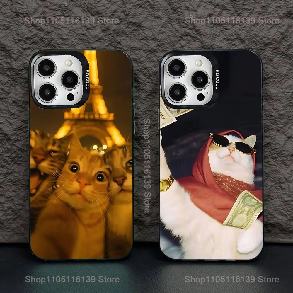 

Cute funny Cats Phone Case For iPhone 16,15,14,13,12,11,Pro,XS,Max,Plus,Mini,SE Black Candy Matte Shockproof Cover