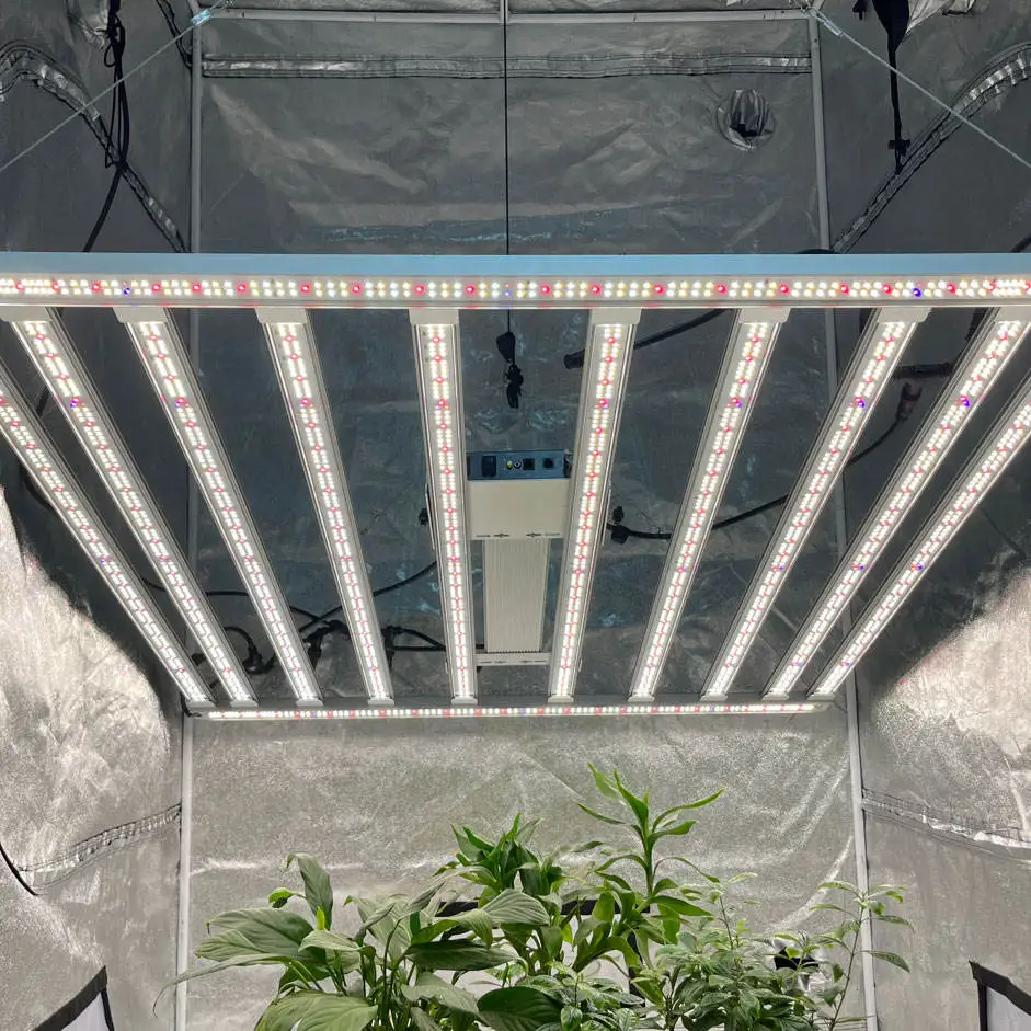 Mint White Led Grow Light 1000W Uniform PPFD Lm 301h 660nm 720W 600W 240W Interlighting Grow Led Light