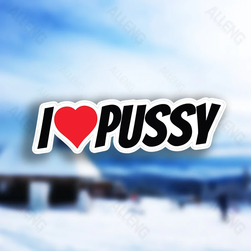 Pack of 3 I Love Pussy Fun Vinyl Stickers Matte Surface Perfect for Laptops Durable External Accessories, ALLENG