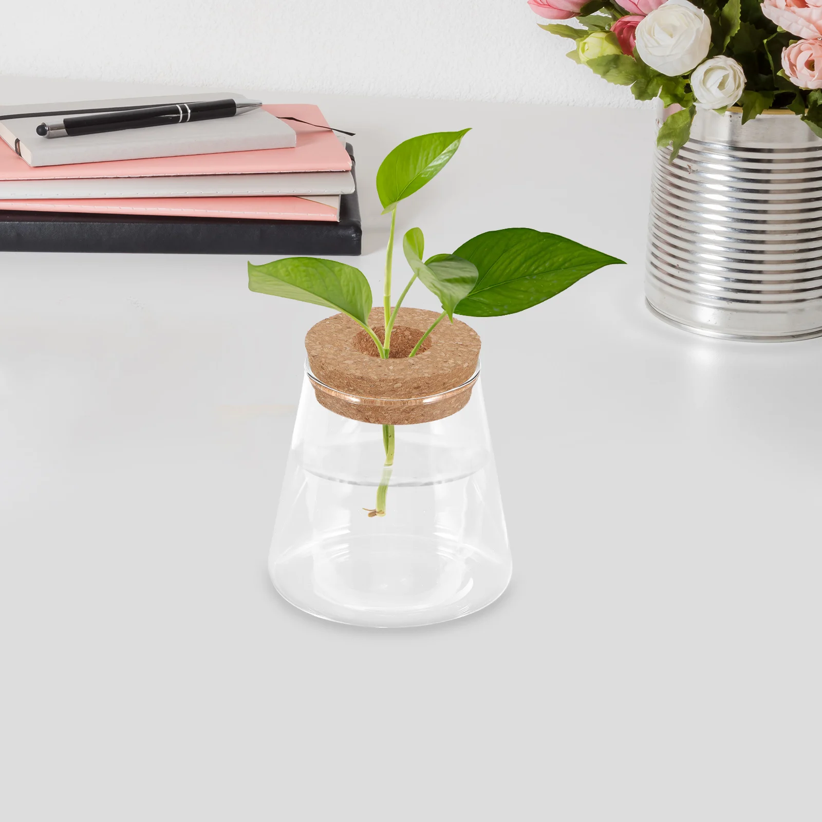 

Glass Terrarium Container Transparent Micro Landscape Small Fish Tank Hydroponic Plants Decorative Home Office Ornament