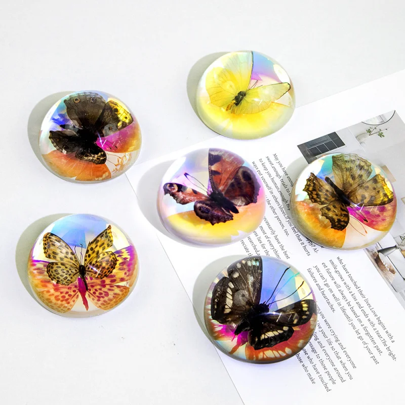 1pc Real butterfly resin handicraft decoration supplies desktop decoration, semi-circular ball, size: 64*64*33mm, creative gift