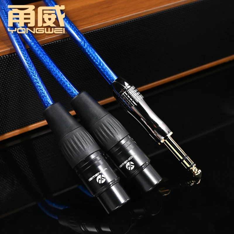 YONGWEI Cable de micrófono XLR de 3 pines a Jack de 6.5mm, TRS Cable auxiliar de 6.35mm, macho a XLR hembra para amplificador