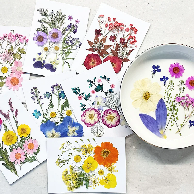 

Dry Flower DIY Material Pack Natural Plant Pressed Flowers Ornament Filling Specimen Stickers Nail Art Handbook Decorations