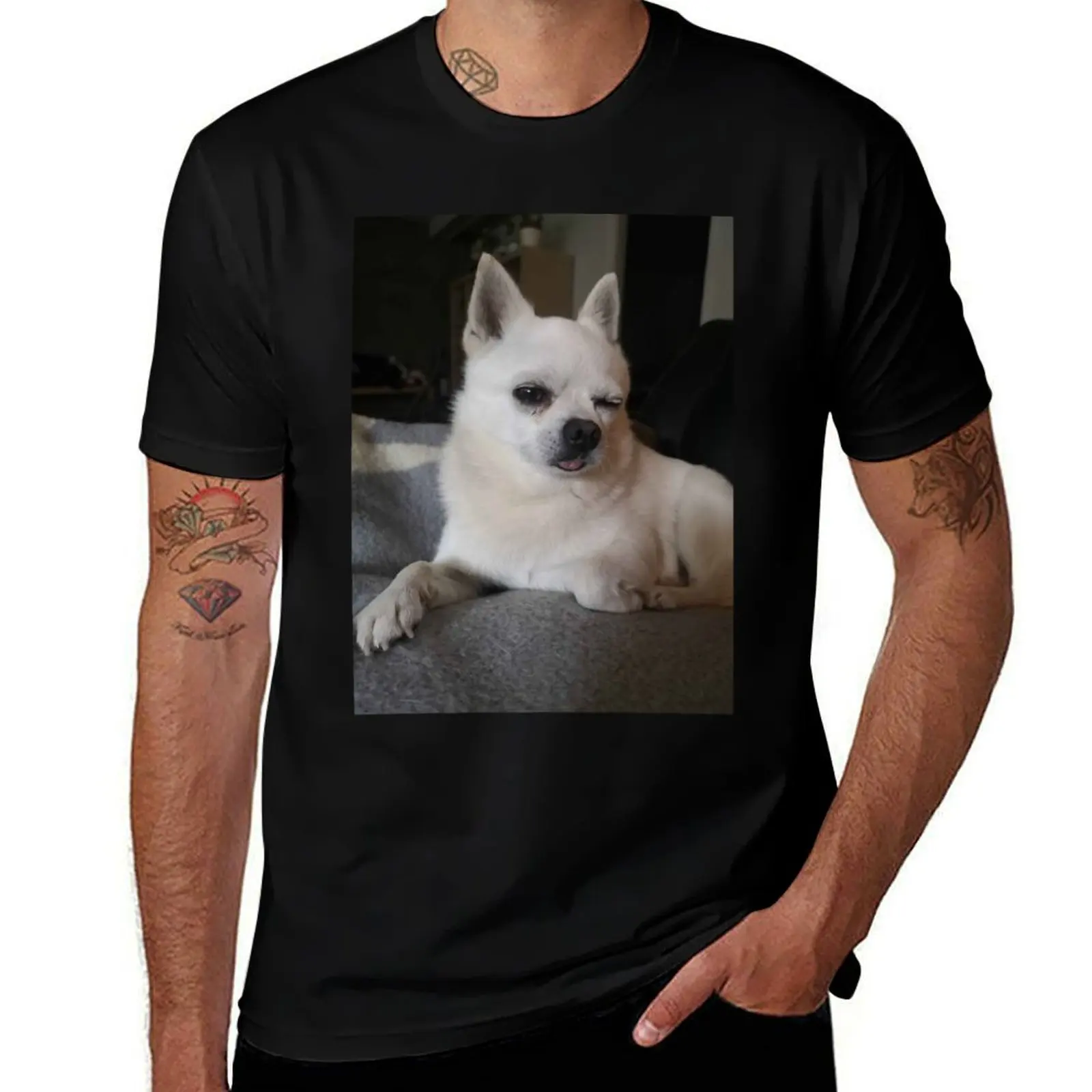 

Cute puppy dog chihuahua T-Shirt plain luxury t-shirt sweat mens graphic t-shirts pack