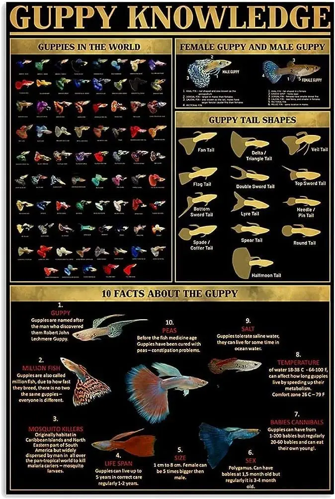 Panneaux Métalliques Guppy Knowledge, Affiches Infographiques Guppy, Décoration Murale pour Maison, Salon, Club, Salle de Classe, 8x12 pouces