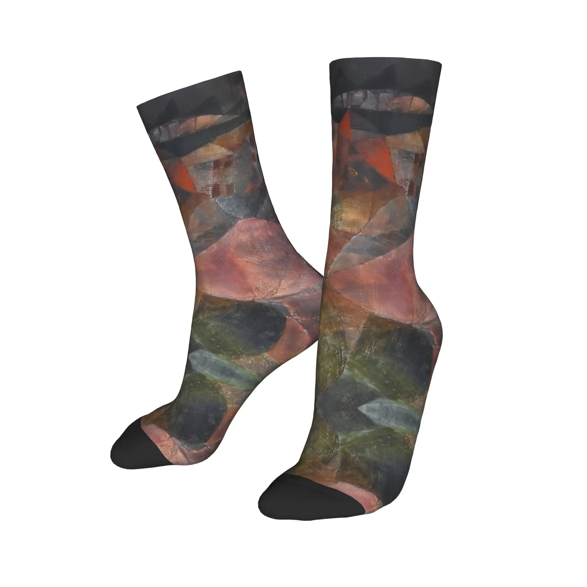 New Male Men Socks Harajuku Paul Klee The Hour Before One Night  Sock Polyester  Sport Women's Socks Spring Summer Autumn Winter