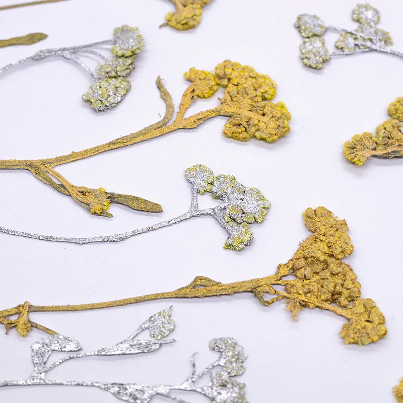 12 Stück, gefärbte gepresste Kreuzkresse-Blumen, getrocknete Pflanzen, DIY-Material für Harz, Lesezeichen, Scrapbooking, Kartenherstellung, Bastelzubehör – Detail 5