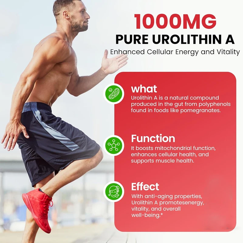 Urea supplement 1000mg, 60 capsules, healthy aging, energy enhancement, cell regeneration, mitochondrial health, antioxidant