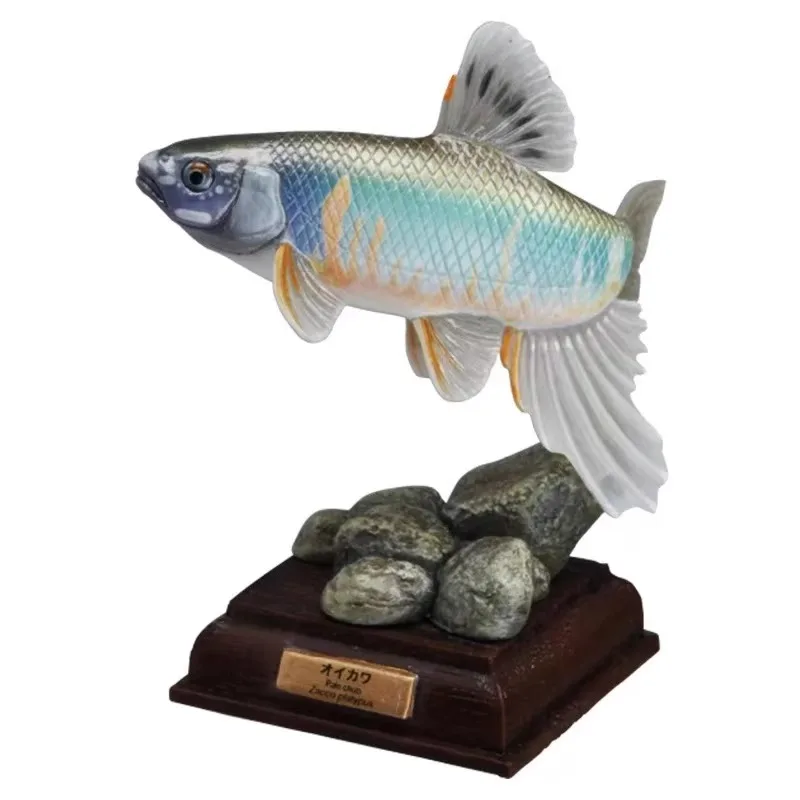 Japońska ryba Suplement Specjalna edycja Gashapon Zabawki Sweetfish Sculpins Zacco Platypus Figurka akcji Model Ozdoby Zabawki