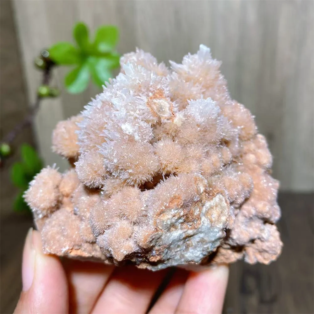 Natural Unique Raw Specimen Stalactite Mineral Rocks Stone Healing Crystal Home Decorations Crafts  Gift