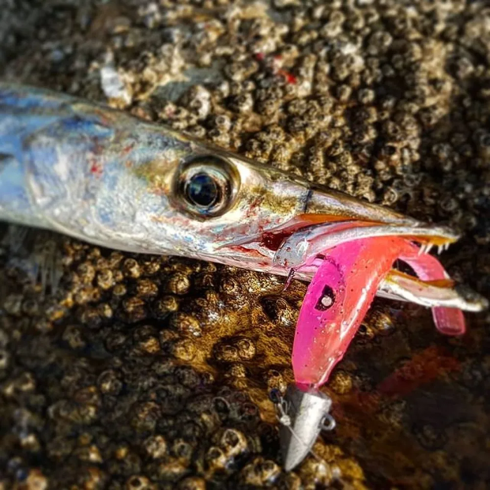 Crazy Slug Soft Shad Lure 18cm 3pcs/bag Fishing Lure Seabass مصنوعی بیت سلیکون ورم Shad Eel Needfish Fishing Tackle