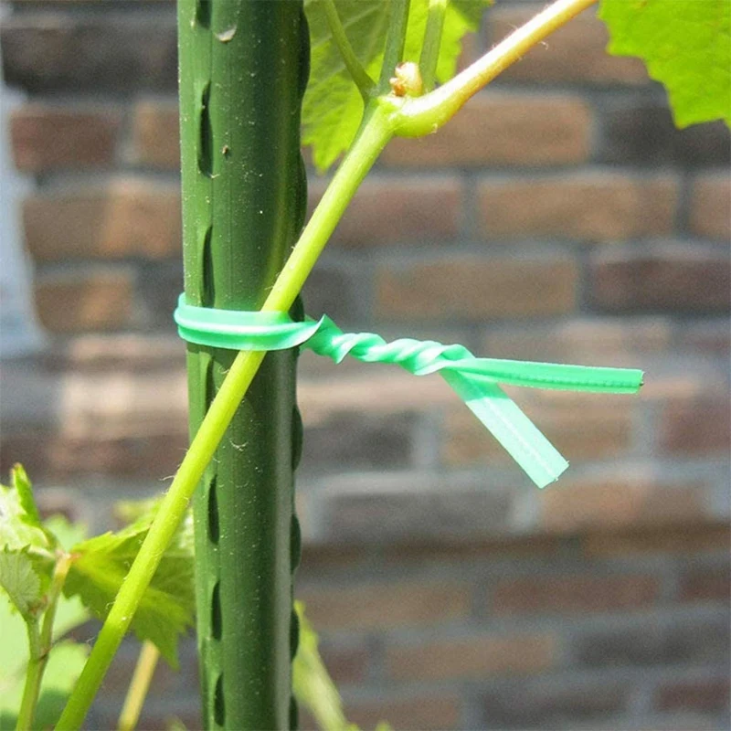 Berkebun kawat terpilin dengan berkebun memutar kawat hijau, penggunaan di rumah, kantor (20M, hijau)