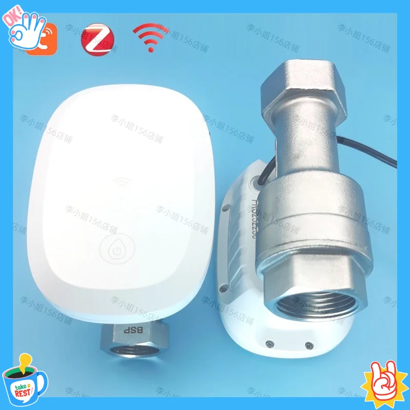 2026년형 지그비 투야 스마트 와이파이 수도미터 수도 - Smart Home Tuya 리뷰 및 가격