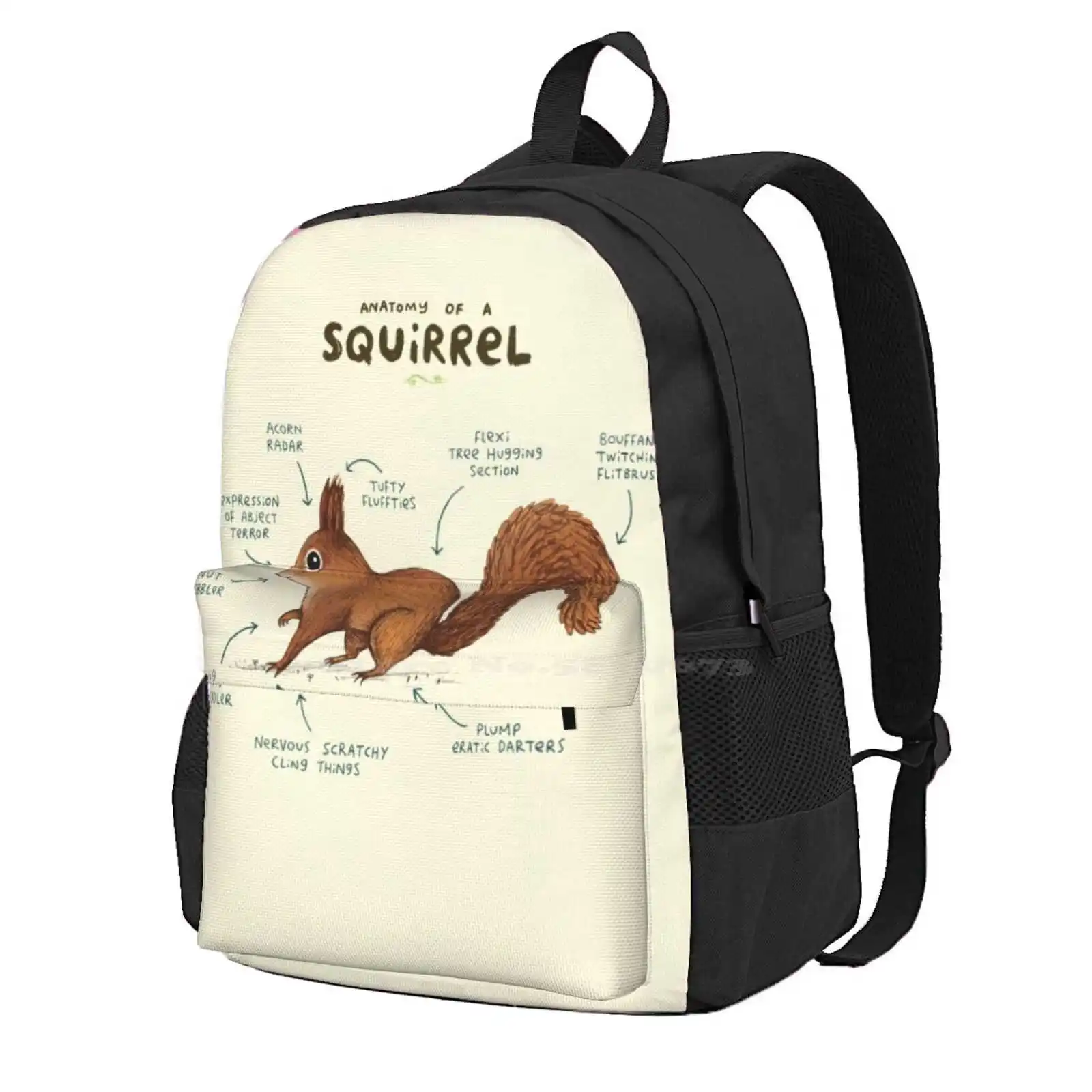 Anatomy Of A Squirrel Hot Sale Schoolbag Backpack Fashion Bags Anatomy Red British Tail Squirrels Chipmunk Ferret English